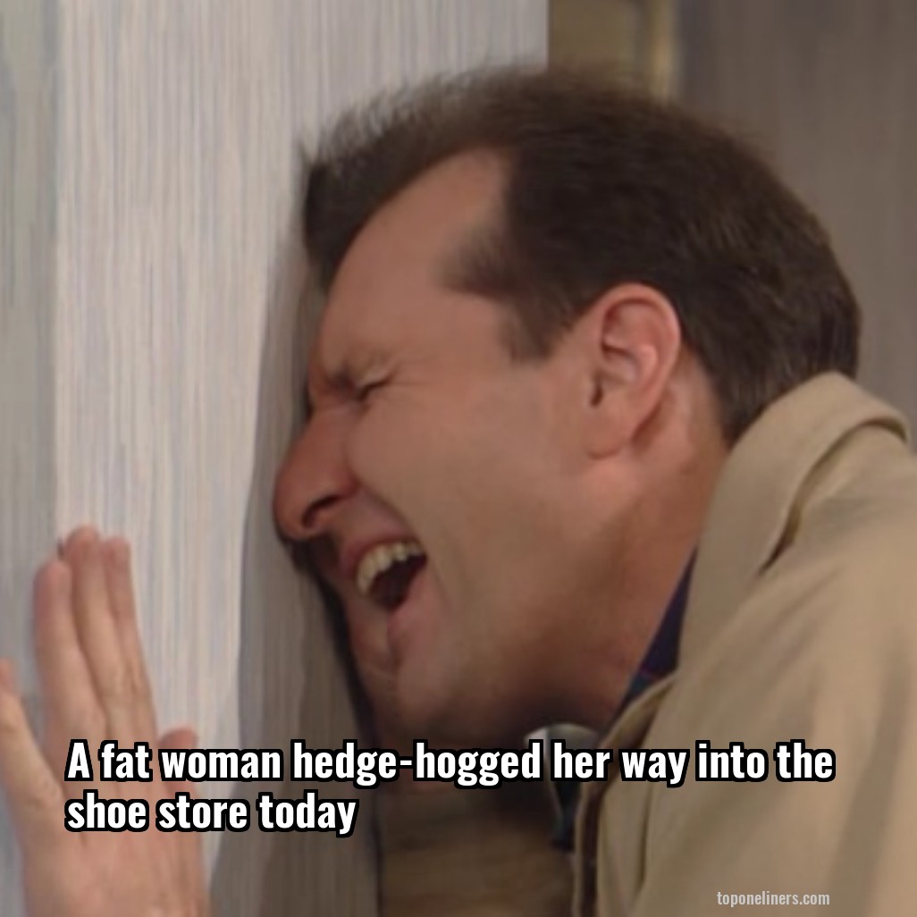 A fat woman hedge-hogged her way into the shoe store today 