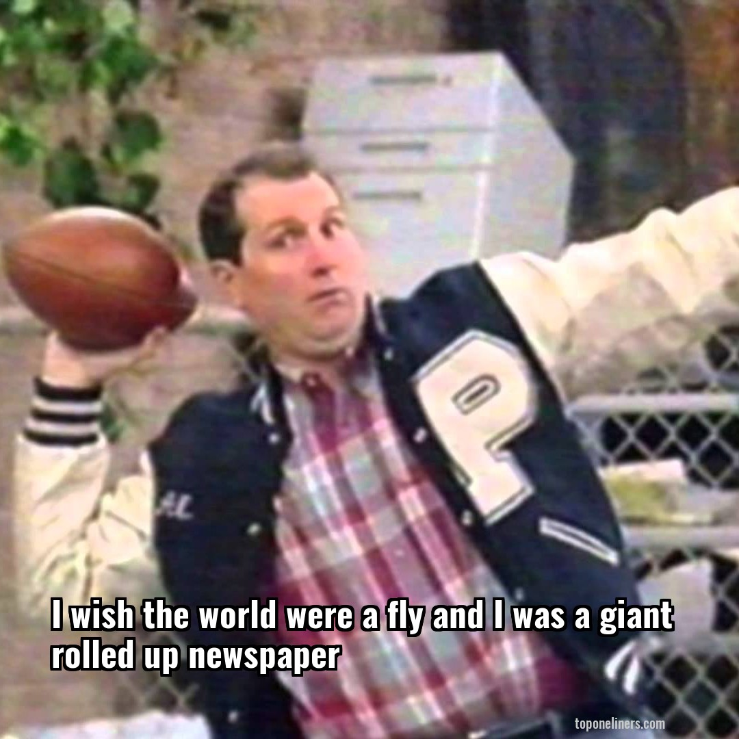 I wish the world were a fly and I was a giant rolled up newspaper