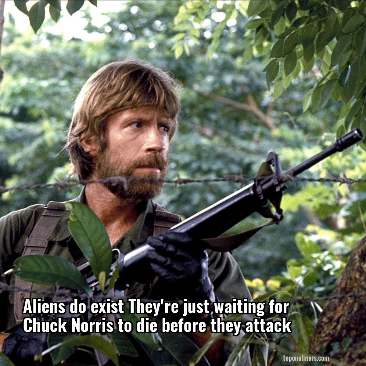Aliens do exist They're just waiting for Chuck Norris to die before they attack
