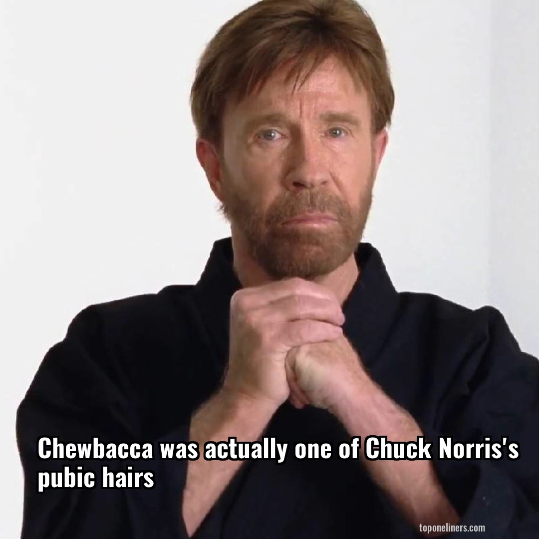 Chewbacca was actually one of Chuck Norris's pubic hairs