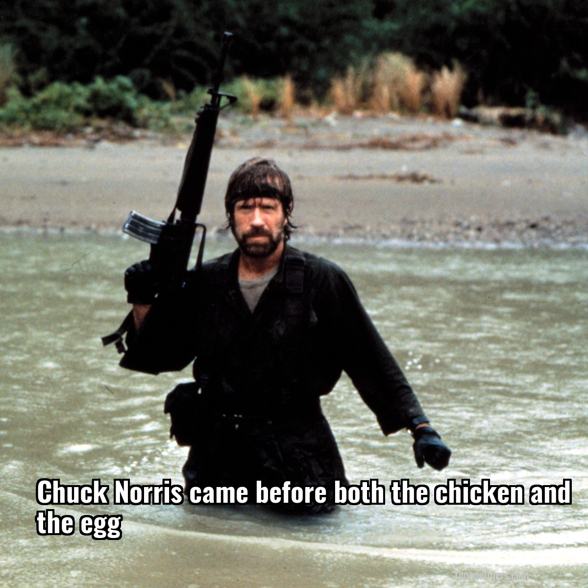 Chuck Norris came before both the chicken and the egg