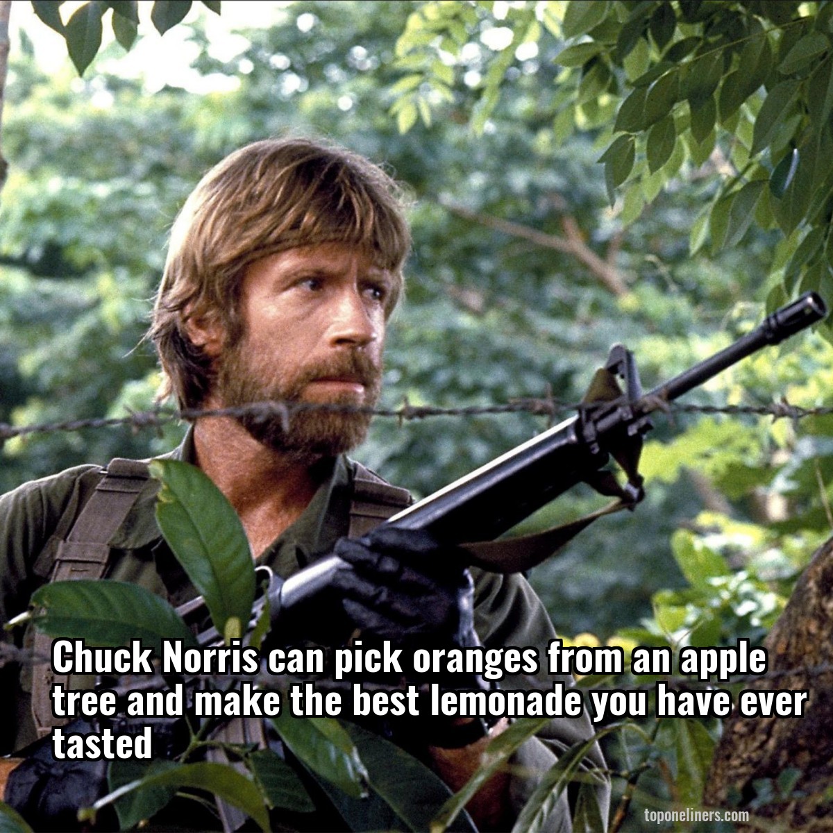Chuck Norris can pick oranges from an apple tree and make the best lemonade you have ever tasted