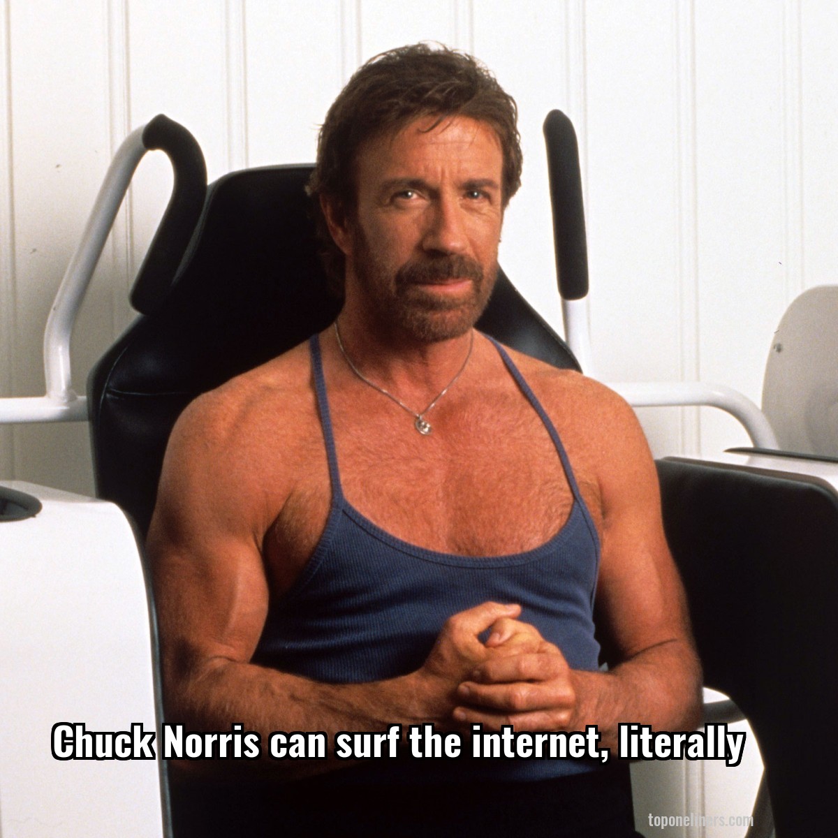 Chuck Norris can surf the internet, literally