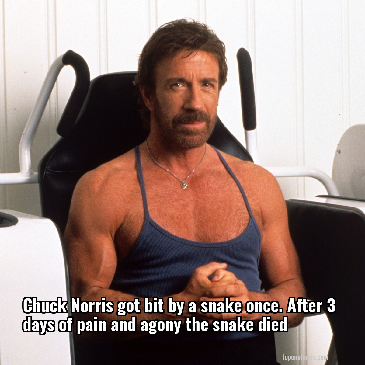 Chuck Norris got bit by a snake once. After 3 days of pain and agony the snake died