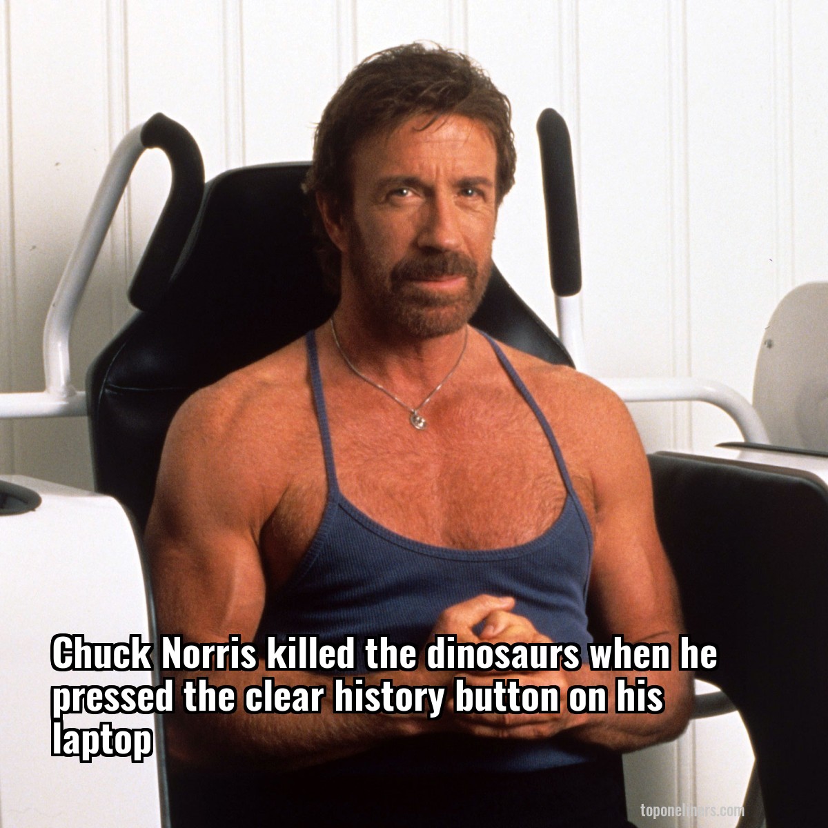 Chuck Norris killed the dinosaurs when he pressed the clear history button on his laptop