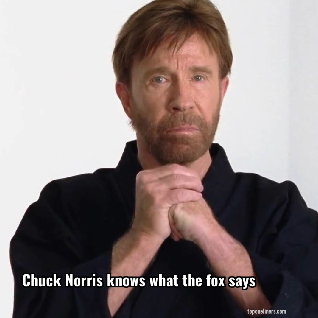 Chuck Norris knows what the fox says