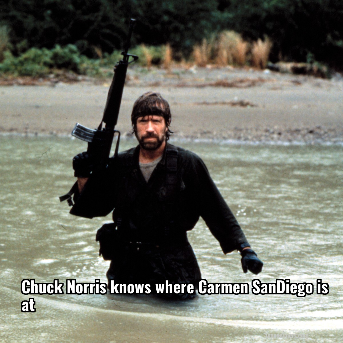 Chuck Norris knows where Carmen SanDiego is at