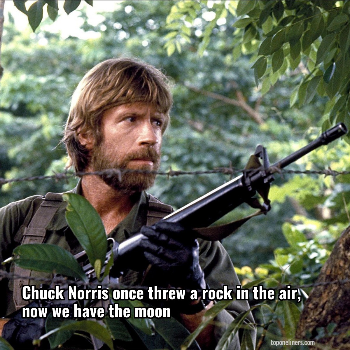 Chuck Norris once threw a rock in the air, now we have the moon