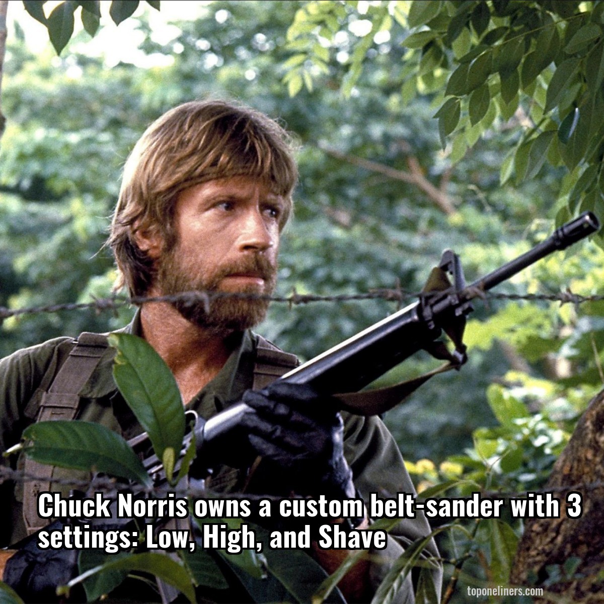 Chuck Norris owns a custom belt-sander with 3 settings: Low, High, and Shave