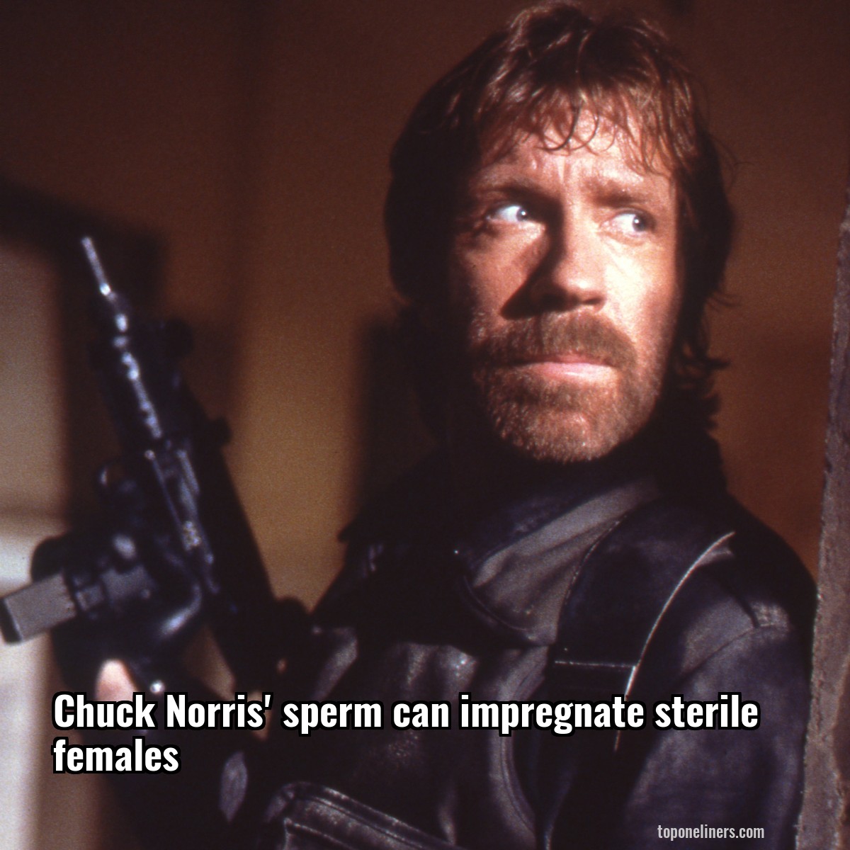 Chuck Norris' sperm can impregnate sterile females