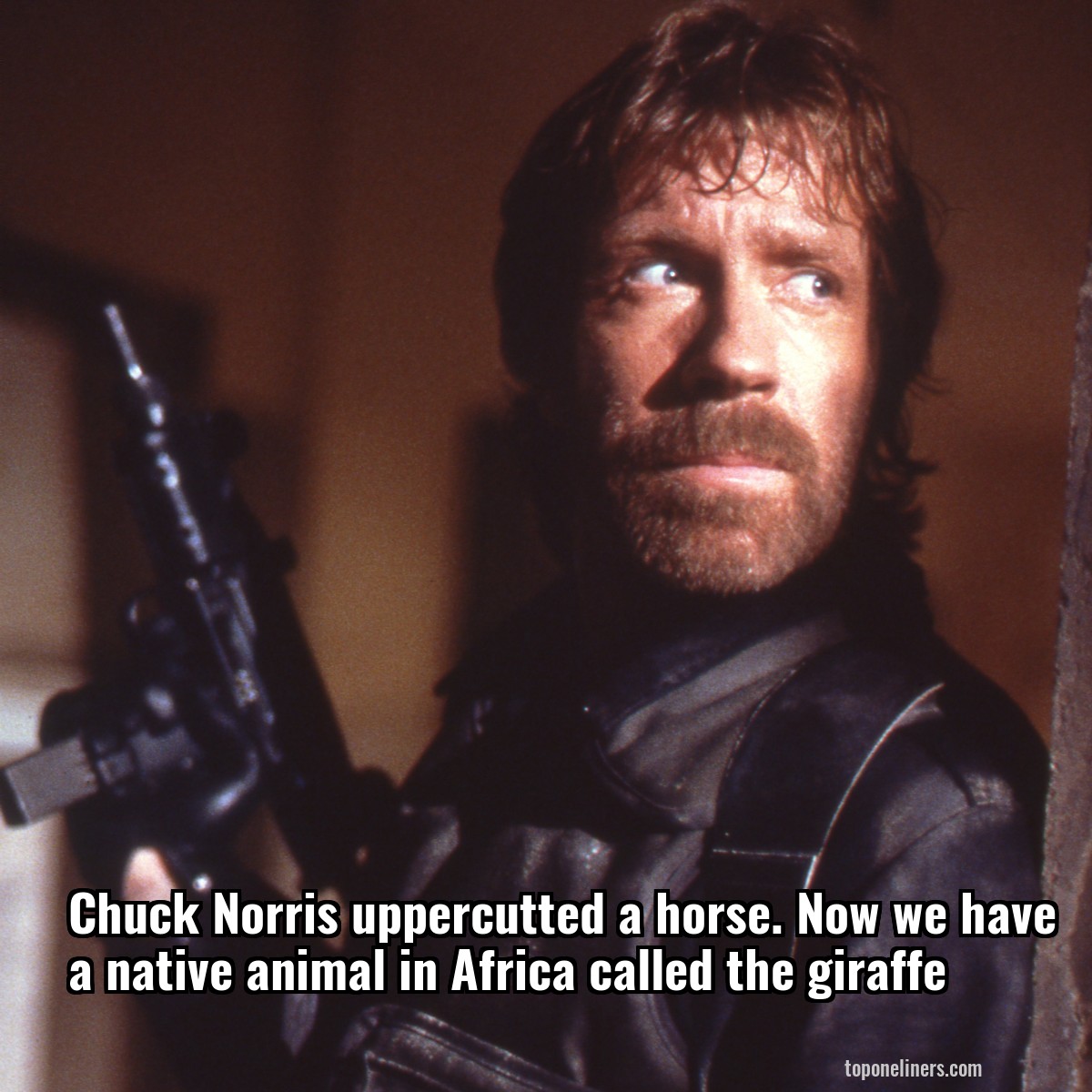 Chuck Norris uppercutted a horse. Now we have a native animal in Africa called the giraffe