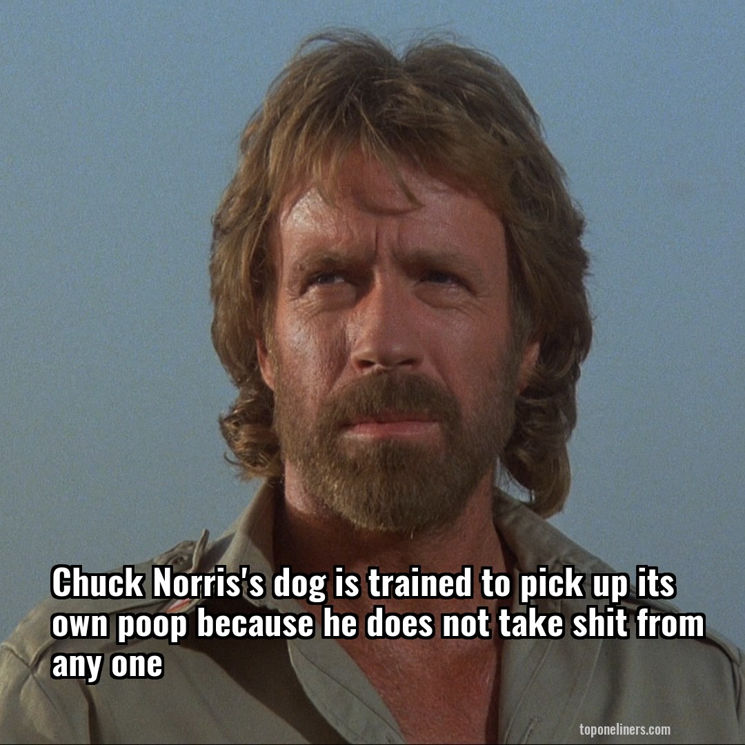 Chuck Norris's dog is trained to pick up its own poop because he does not take shit from any one