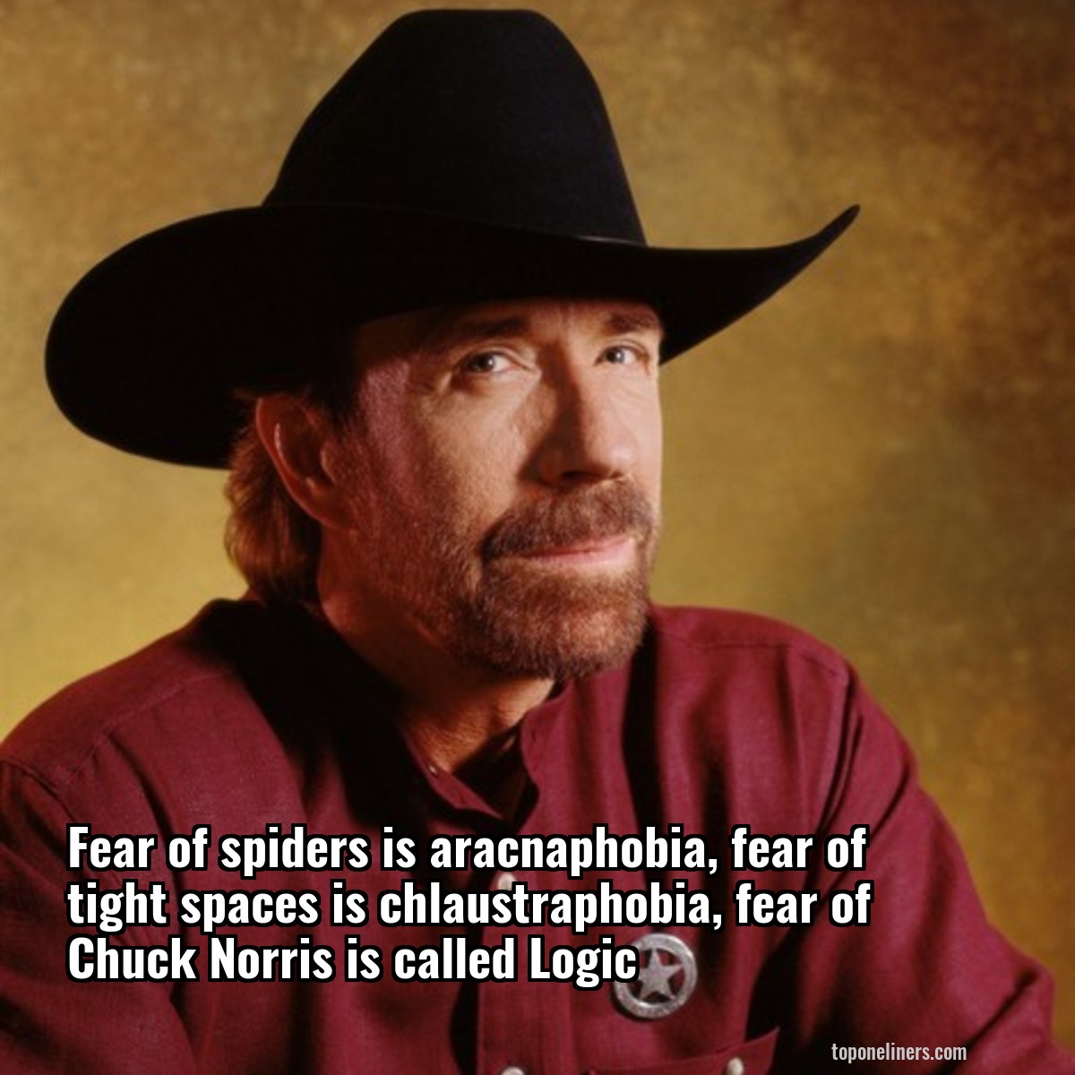 Fear of spiders is aracnaphobia, fear of tight spaces is chlaustraphobia, fear of Chuck Norris is called Logic