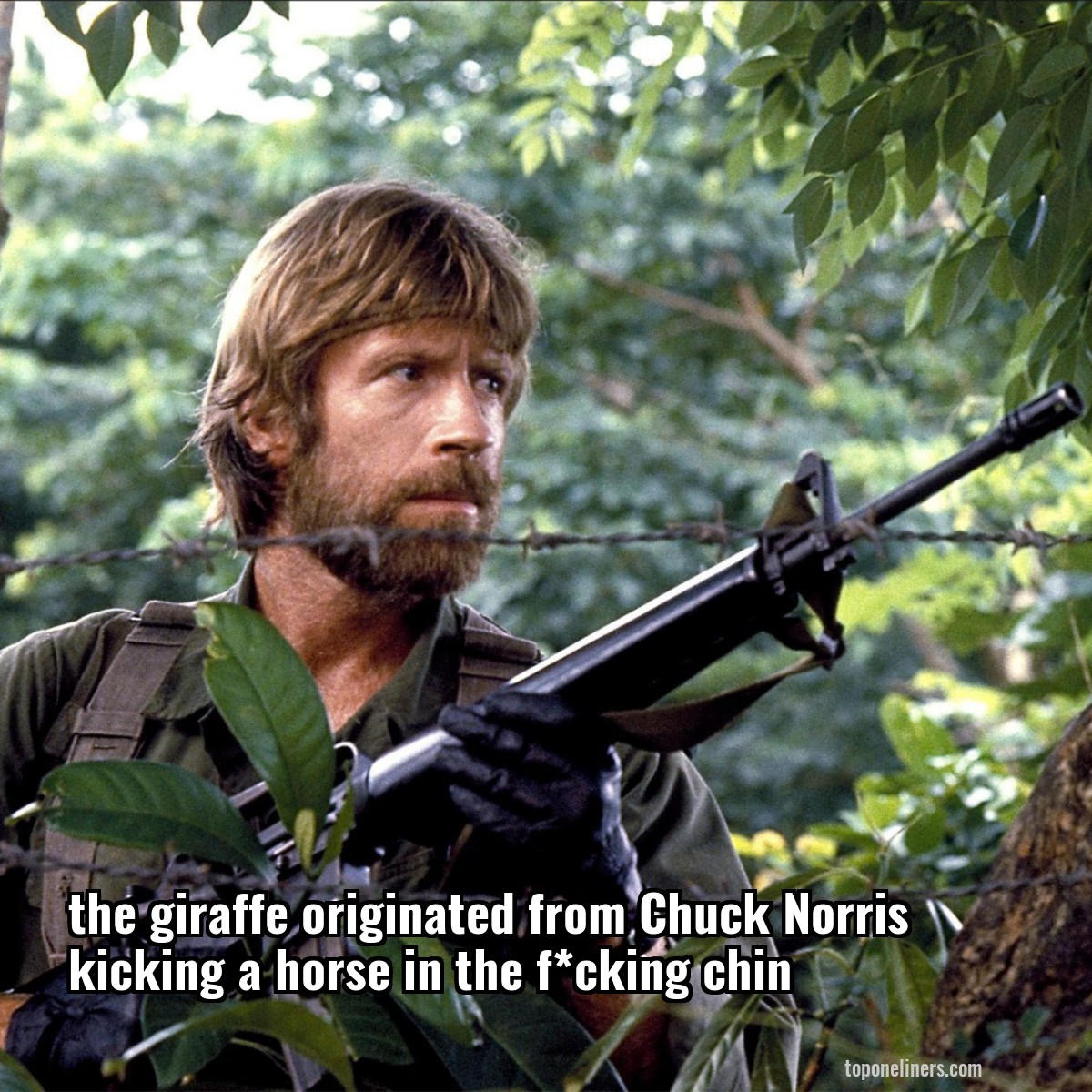 the giraffe originated from Chuck Norris kicking a horse in the f*cking chin
