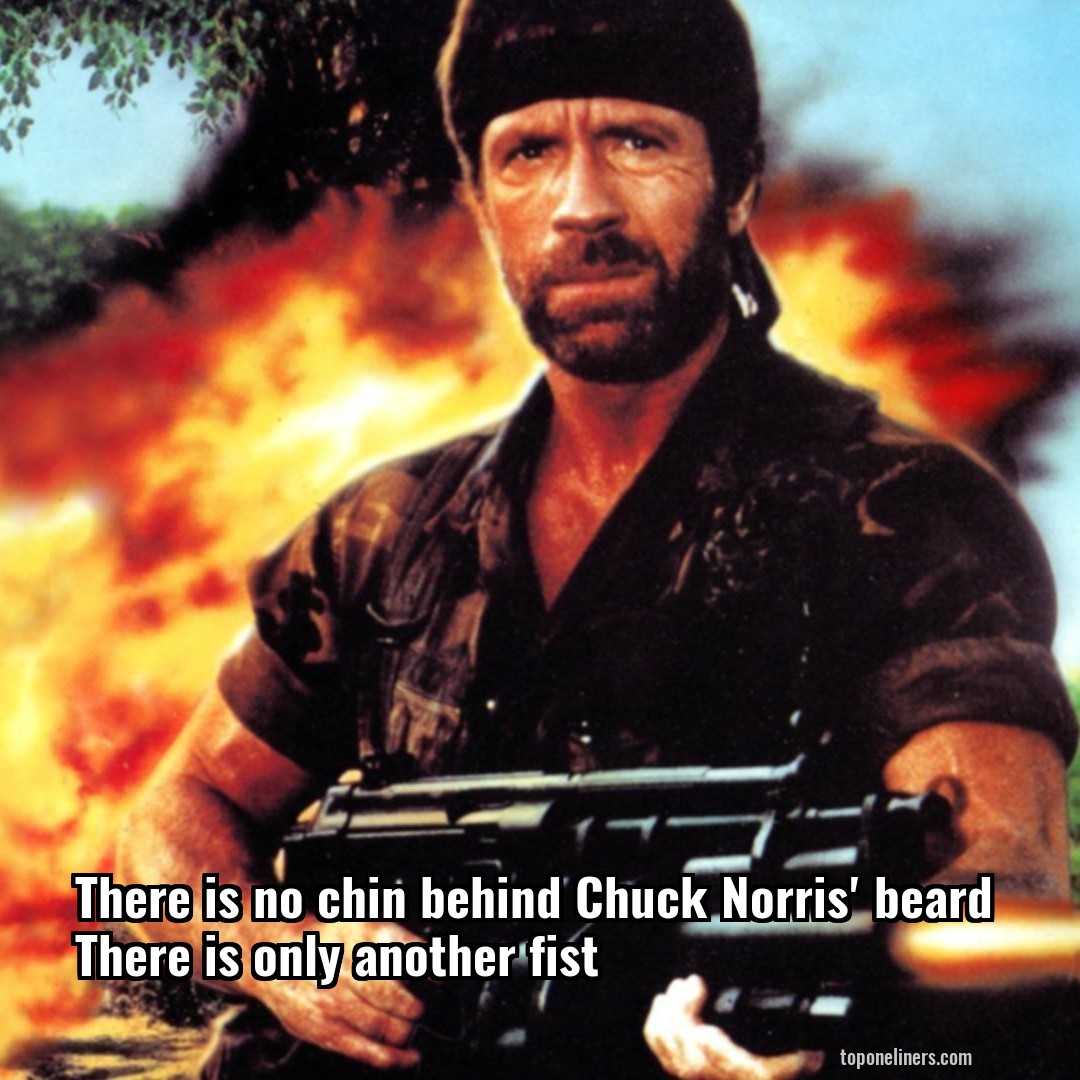 There is no chin behind Chuck Norris' beard There is only another fist