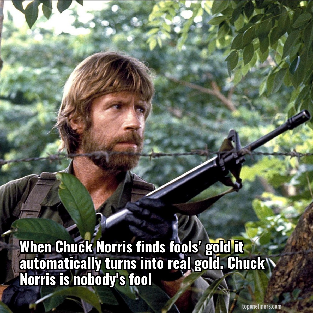 When Chuck Norris finds fools' gold it automatically turns into real gold. Chuck Norris is nobody's fool