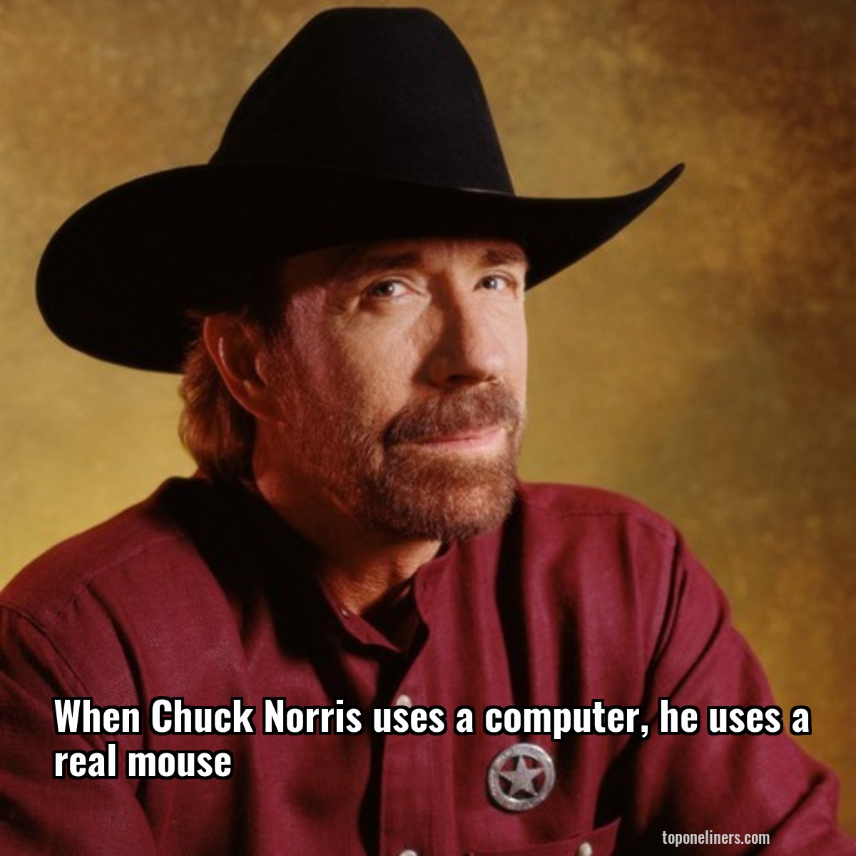 When Chuck Norris uses a computer, he uses a real mouse