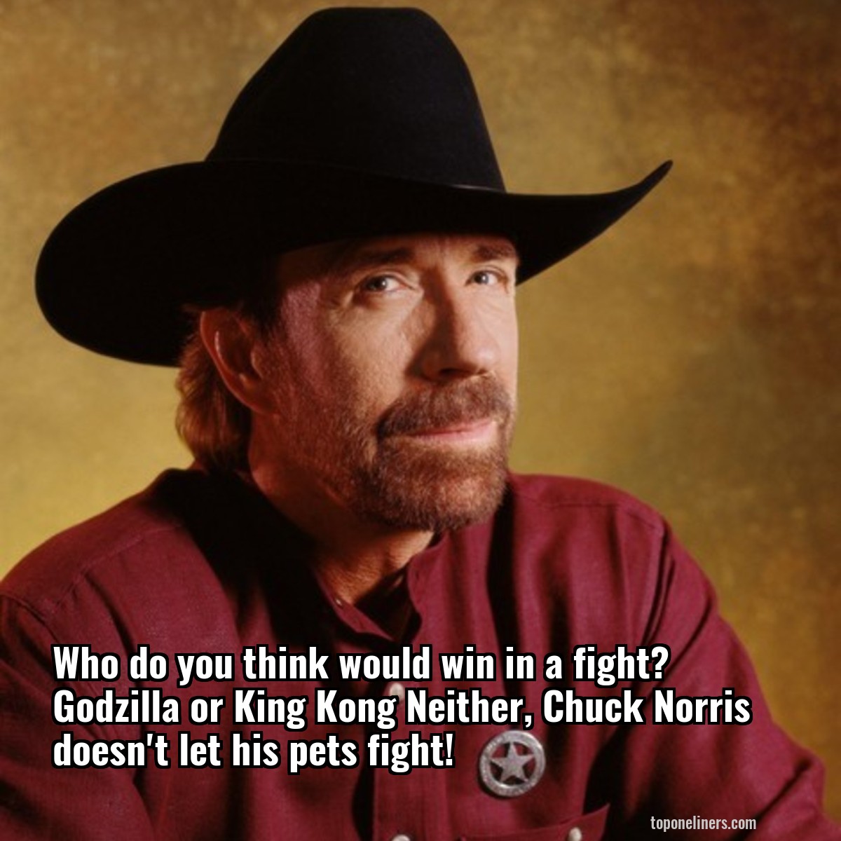 Who do you think would win in a fight? Godzilla or King Kong Neither, Chuck Norris doesn't let his pets fight!