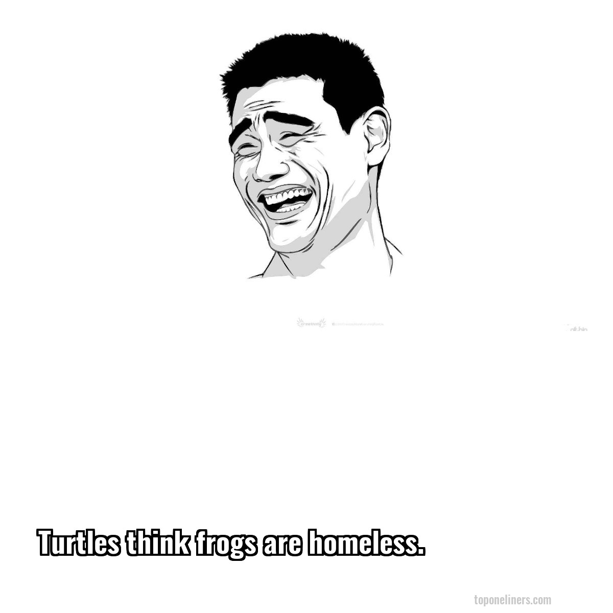 Turtles think frogs are homeless.
